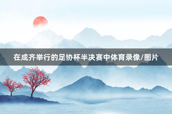 在成齐举行的足协杯半决赛中体育录像/图片