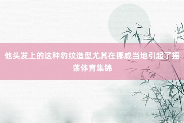 他头发上的这种豹纹造型尤其在挪威当地引起了摇荡体育集锦