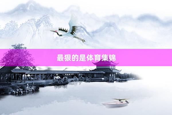 最狠的是体育集锦