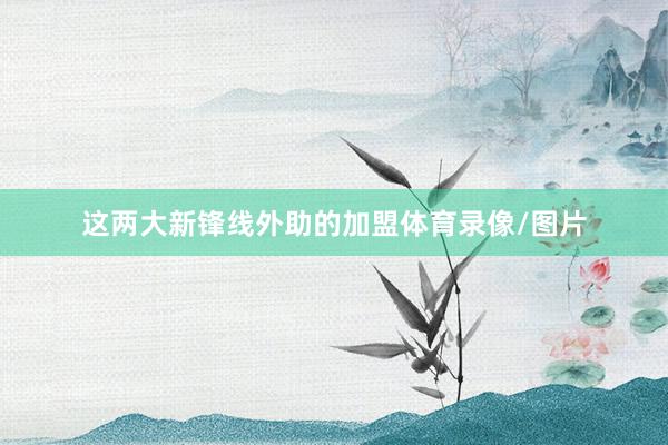 这两大新锋线外助的加盟体育录像/图片