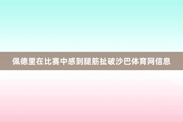 佩德里在比赛中感到腿筋扯破沙巴体育网信息