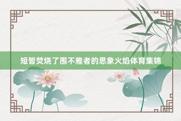 短暂焚烧了围不雅者的思象火焰体育集锦
