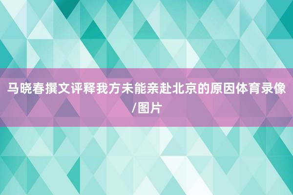 马晓春撰文评释我方未能亲赴北京的原因体育录像/图片