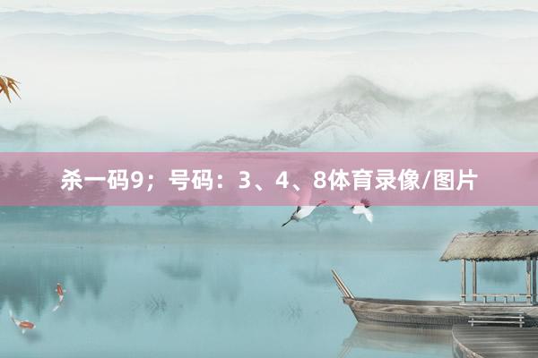 杀一码9；号码：3、4、8体育录像/图片