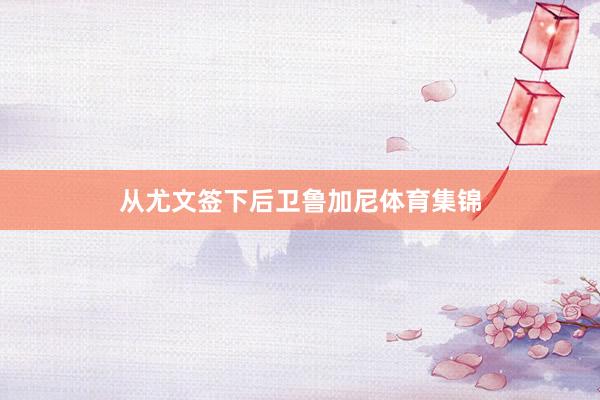 从尤文签下后卫鲁加尼体育集锦