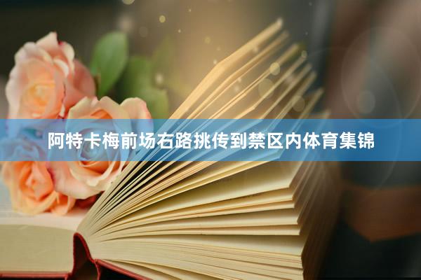 阿特卡梅前场右路挑传到禁区内体育集锦