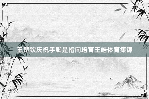 王楚钦庆祝手脚是指向培育王皓体育集锦