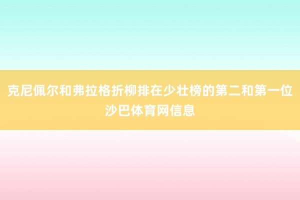 克尼佩尔和弗拉格折柳排在少壮榜的第二和第一位沙巴体育网信息