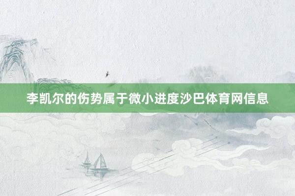 李凯尔的伤势属于微小进度沙巴体育网信息