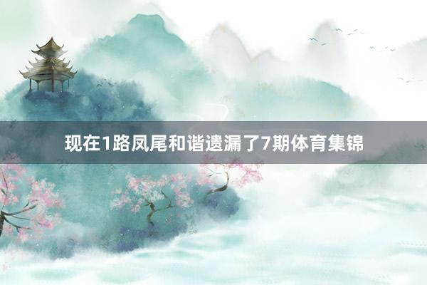 现在1路凤尾和谐遗漏了7期体育集锦