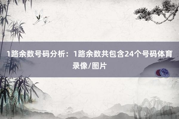 1路余数号码分析：1路余数共包含24个号码体育录像/图片