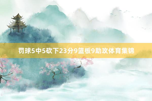 罚球5中5砍下23分9篮板9助攻体育集锦