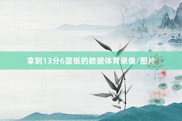 拿到13分6篮板的数据体育录像/图片