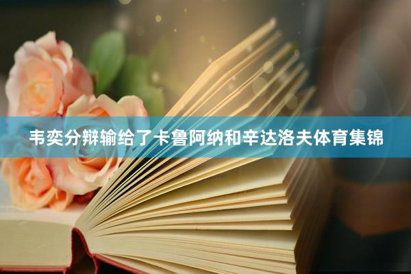 韦奕分辩输给了卡鲁阿纳和辛达洛夫体育集锦