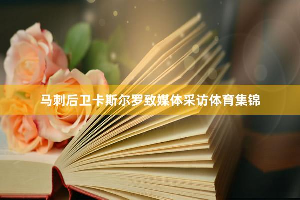 马刺后卫卡斯尔罗致媒体采访体育集锦