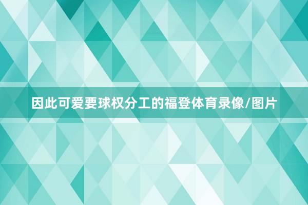 因此可爱要球权分工的福登体育录像/图片