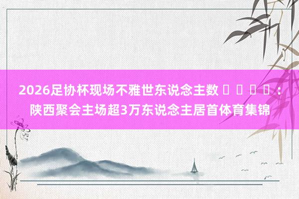 2026足协杯现场不雅世东说念主数 ​​​​：陕西聚会主场超3万东说念主居首体育集锦
